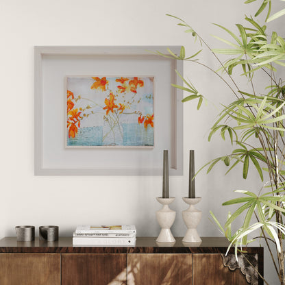 Crocosmia for Creativity
