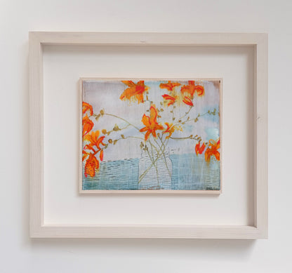 Crocosmia for Creativity